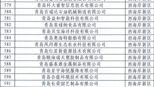 青岛科大睿智信息技术有限公司-CMMI认证