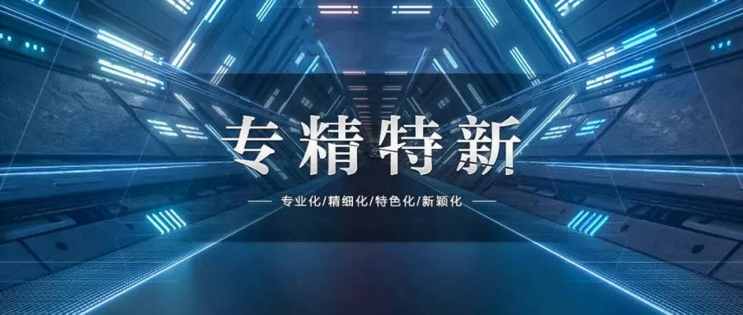 喜讯！热烈祝贺我司荣获青岛市“专精特新”企业称号