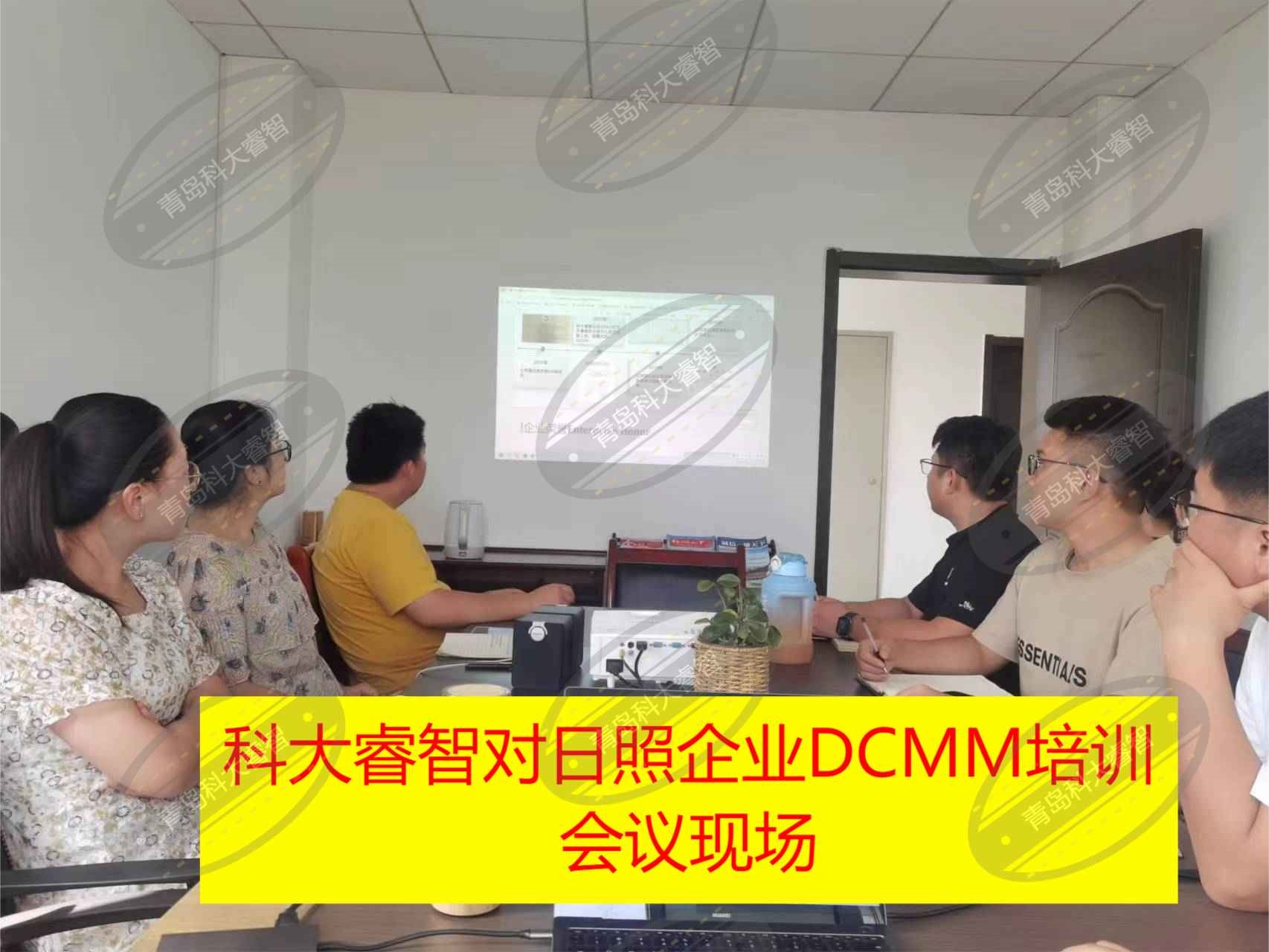 青岛科大睿智与日照DCMM企业进行培训
