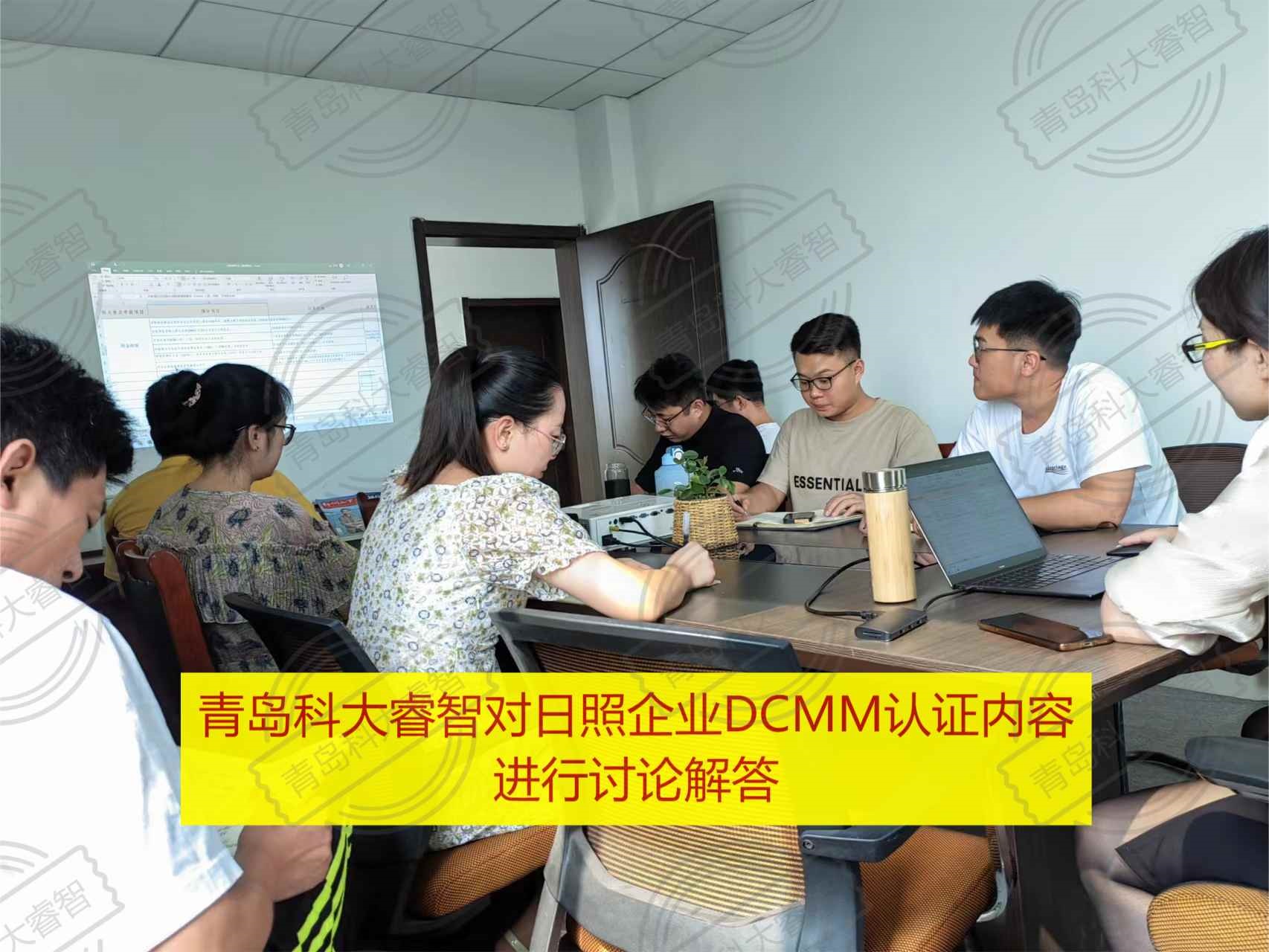 青岛科大睿智与日照DCMM企业进行培训2