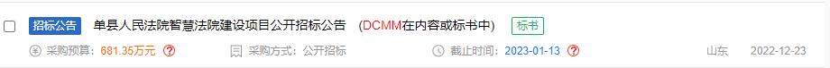 数据管理能力成熟度评估模型（DCMM）-DCMM咨询认证-青岛科大睿智信息技术有限公司6
